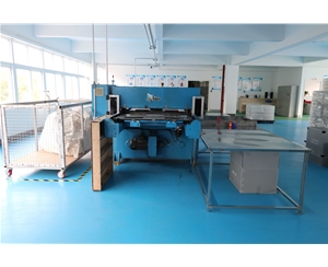 吸塑包(bao)裝生産車(che)間