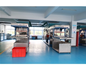 吸塑包(bao)裝生産車(che)間